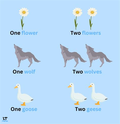 plural of lottery|lottery noun .